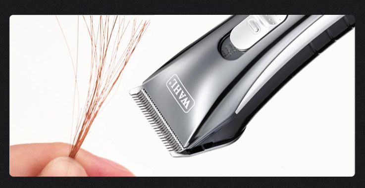 Wahl-2228-3
